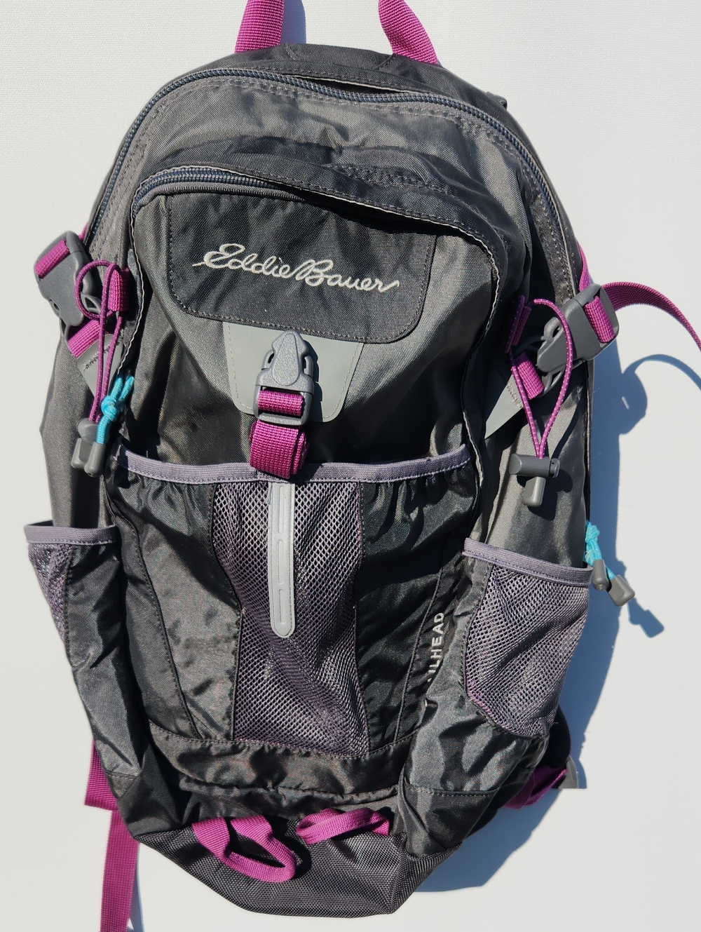 Eddie Bauer Black Backpack with Purple Accents